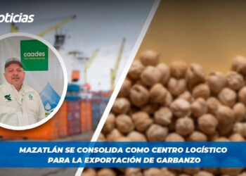 Mazatlán se consolida como centro logístico para la exportación de garbanzo