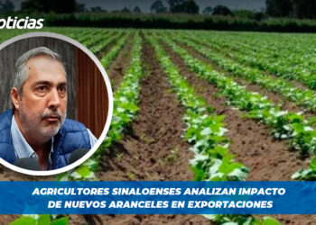 Agricultores sinaloenses analizan impacto de nuevos aranceles en exportaciones