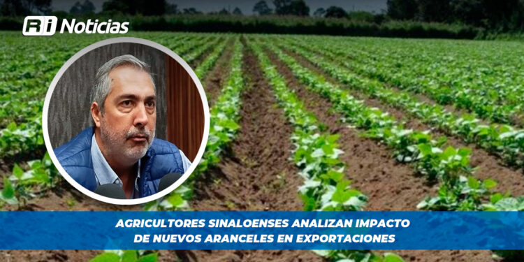 Agricultores sinaloenses analizan impacto de nuevos aranceles en exportaciones