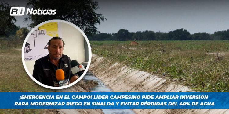 ¡Emergencia en el campo! Líder campesino pide ampliar inversión para modernizar riego en Sinaloa y evitar pérdidas del 40% de agua