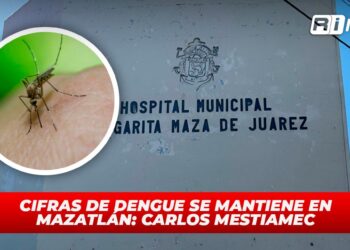Cifras de dengue se mantiene en Mazatlán: Carlos Mestiamec