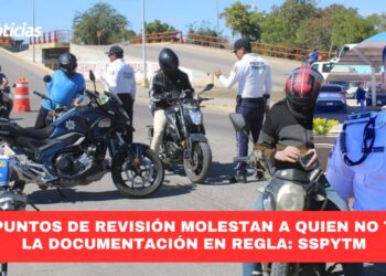 Los puntos de revisión molestan a quien no trae la documentación en regla: SSPyTM