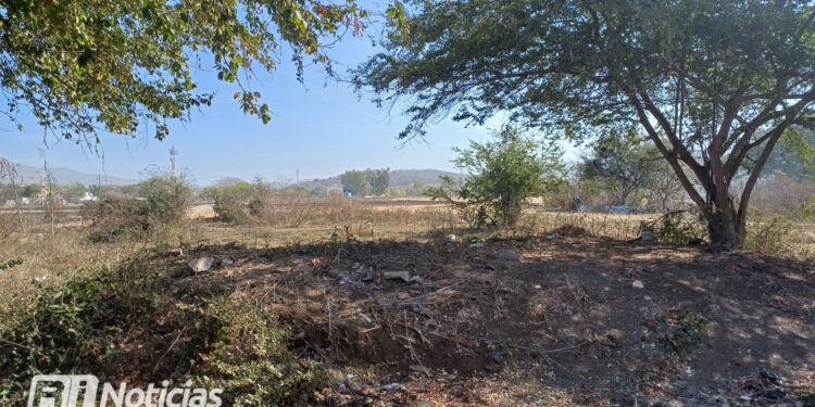 Encuentran a hombre colgado en Los Magueyes