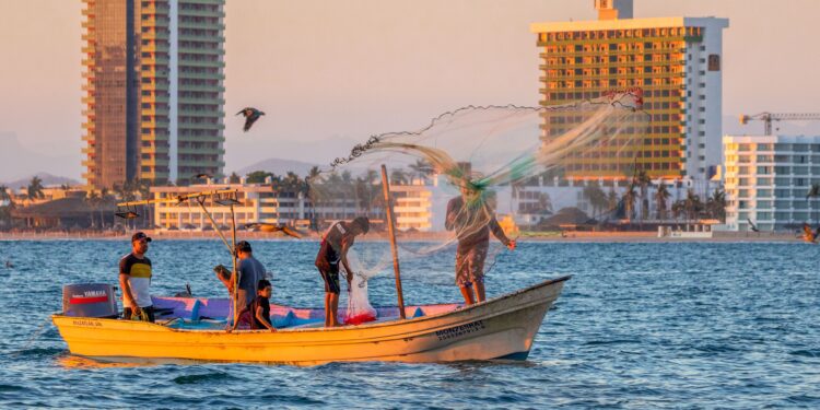 Incorporan 10 especies comerciales a la actualización de la Carta Nacional Pesquera