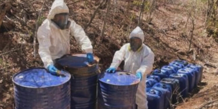 Desmantelan 8 laboratorios clandestinos en Sinaloa