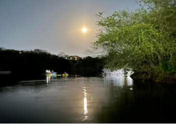Pescador desaparece en laguna al norte de Mazatlán