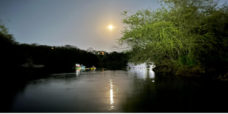 Pescador desaparece en laguna al norte de Mazatlán