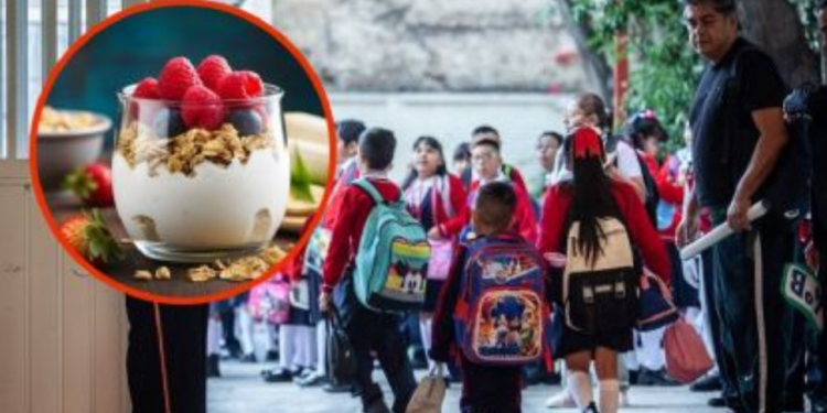 ¿Cómo elegir un yogur para el lunch de mis hijos y que no se considere como comida chatarra?