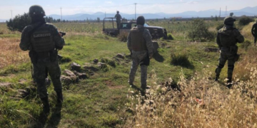 Gabinete de Seguridad realiza detenciones, cateos y aseguramientos en 14 estados