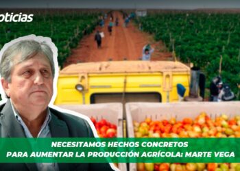 Necesitamos hechos concretos para aumentar la producción agrícola: Marte Vega
