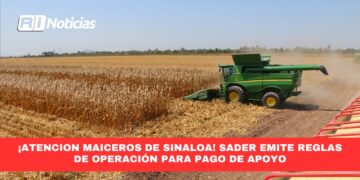 ¡Atención Maiceros de Sinaloa!, SADER Emite Reglas de Operación para Pago de apoyo