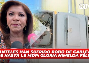 9 planteles han sufrido robo de cableados de hasta 1.8 mdp: Gloria Himelda Félix