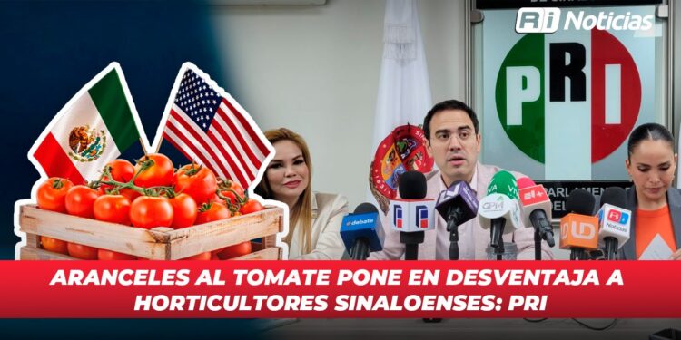Aranceles al tomate pone en desventaja a horticultores sinaloenses: PRI