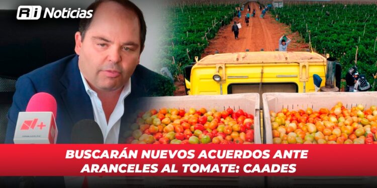 Buscarán nuevos acuerdos ante aranceles al tomate: CAADES