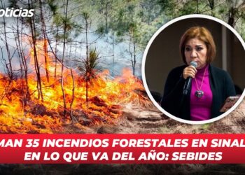 Suman 35 incendios forestales en Sinaloa en lo que va del año: SEBIDES
