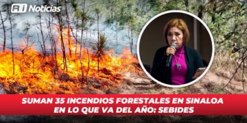 Suman 35 incendios forestales en Sinaloa en lo que va del año: SEBIDES