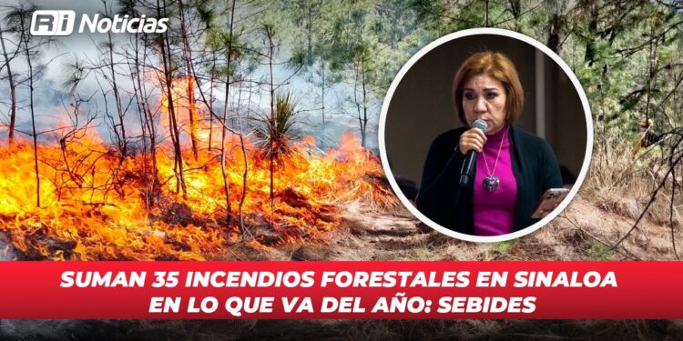 Suman 35 incendios forestales en Sinaloa en lo que va del año: SEBIDES