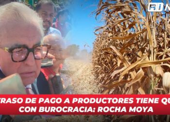 El retraso de pago a productores tiene que ver con burocracia: Rocha Moya