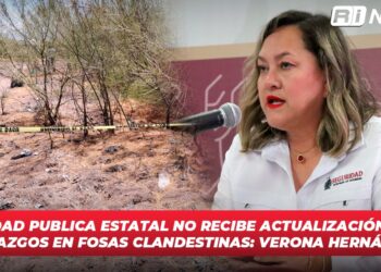 Seguridad Publica Estatal no recibe actualización de los hallazgos en fosas clandestinas: Verona Hernández