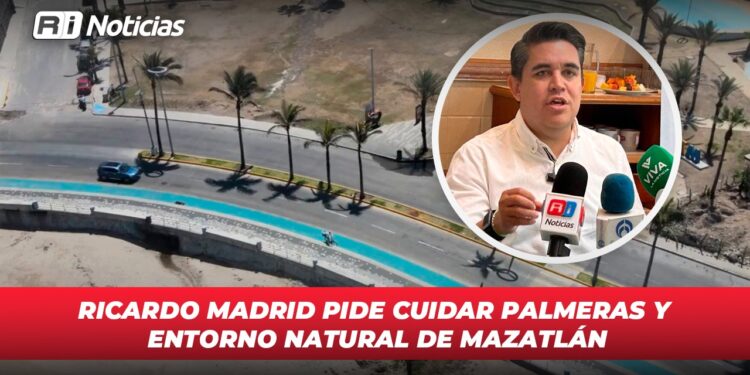 Ricardo Madrid pide cuidar palmeras y entorno natural de Mazatlán