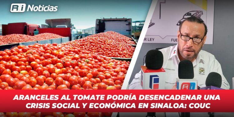 Aranceles al Tomate podría desencadenar una crisis social y económica en Sinaloa: COUC