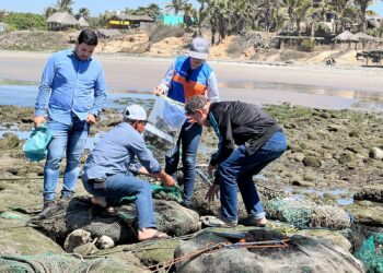 Levantan veda sanitaria en Celestino Gasca tras monitoreo