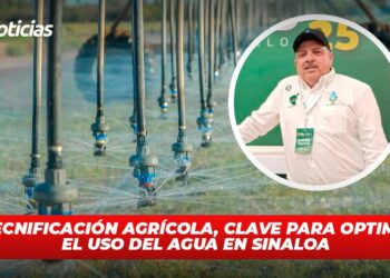 La tecnificación agrícola, clave para optimizar el uso del agua en Sinaloa
