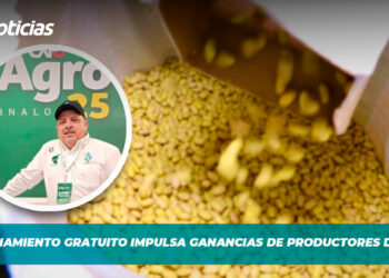 Almacenamiento gratuito impulsa ganancias de productores de frijol