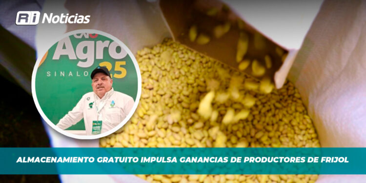 Almacenamiento gratuito impulsa ganancias de productores de frijol