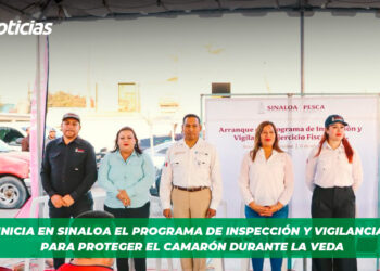 Inicia en Sinaloa el programa de inspección y vigilancia para proteger el camarón durante la veda