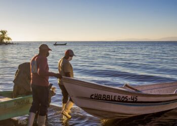 México establece vedas pesqueras en 15 estados para promover pesca responsable