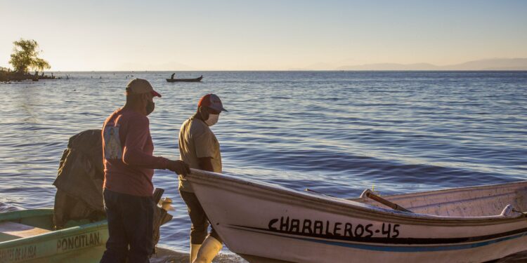 México establece vedas pesqueras en 15 estados para promover pesca responsable