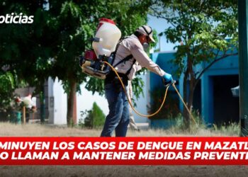 Disminuyen los casos de dengue en Mazatlán, pero llaman a mantener medidas preventivas