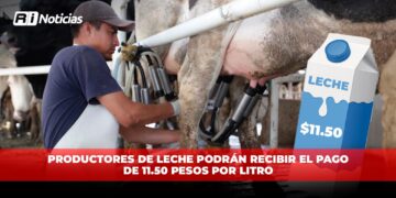 Productores de leche podrán recibir el pago de 11.50 pesos por litro