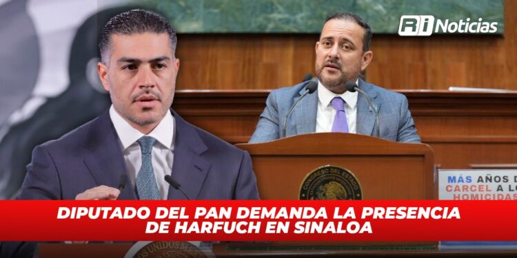 Diputado del PAN demanda la presencia de Harfuch en Sinaloa