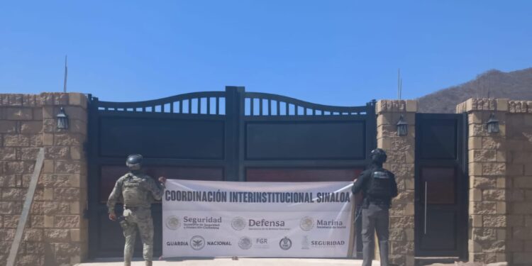 Secretaría de Marina asegura, dos tigres de bengala, explosivos y vehículos en Sinaloa De Leyva