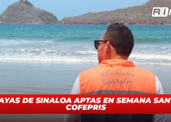 Playas de Sinaloa aptas en Semana Santa: COFEPRIS