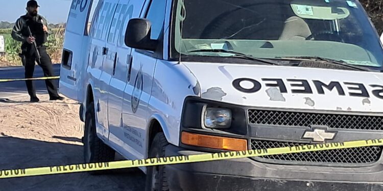 Encuentran hombre sin vida junto a la Maxipista Culiacán – Mazatlán en Elota