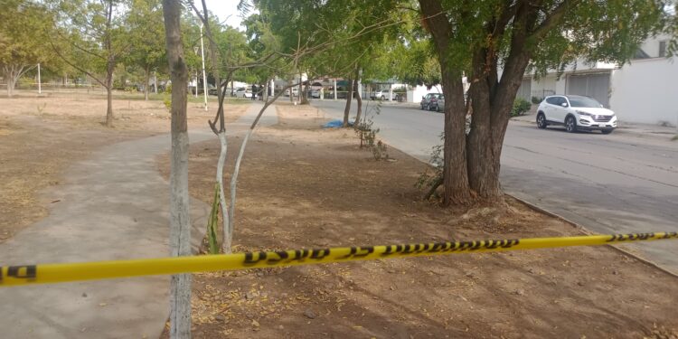 Ejecutan a hombre frente a un parque en la colonia Villa Universidad, en Culiacán