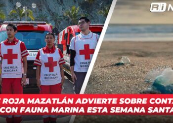Cruz Roja Mazatlán advierte sobre contacto con fauna marina esta Semana Santa