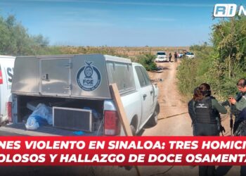 Viernes violento en Sinaloa: Tres homicidios dolosos y hallazgo de doce osamentas