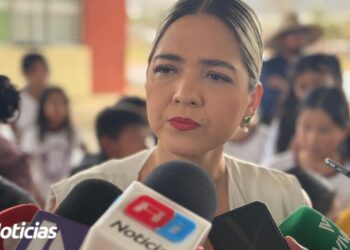 Tras tala de palmeras, Gobierno anuncia que plantarán dos nuevas exactamente en el mismo lugar