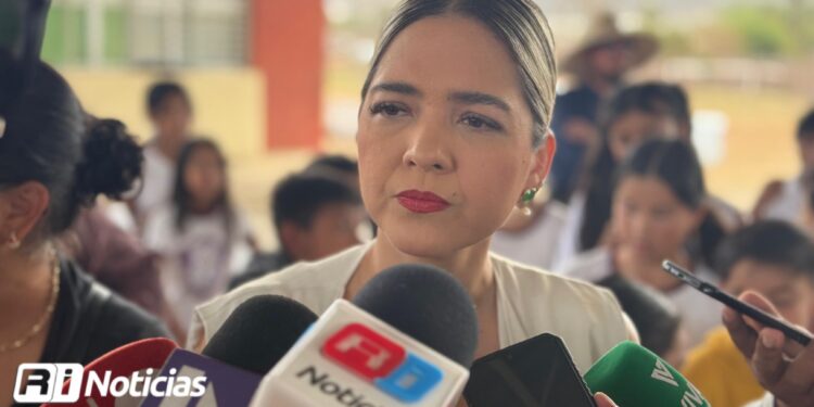 Tras tala de palmeras, Gobierno anuncia que plantarán dos nuevas exactamente en el mismo lugar