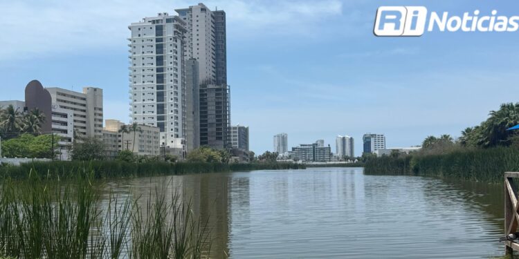 Gobierno de Mazatlán mantendrá diálogo con SEMARNAT para verificar presuntas anomalías en laguna El Camarón