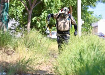 Jornada de descacharrización busca frenar el dengue en Sinaloa