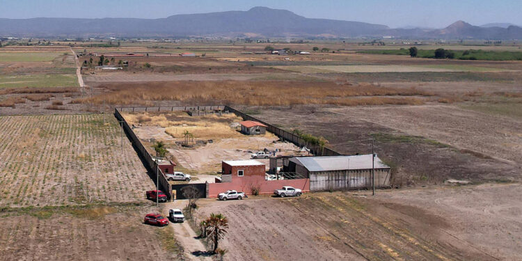 No se encontró evidencia de cremación en rancho Izaguirre de Teuchitlán: Gertz