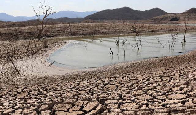 Gobernador de Sinaloa analiza declarar emergencia por sequía