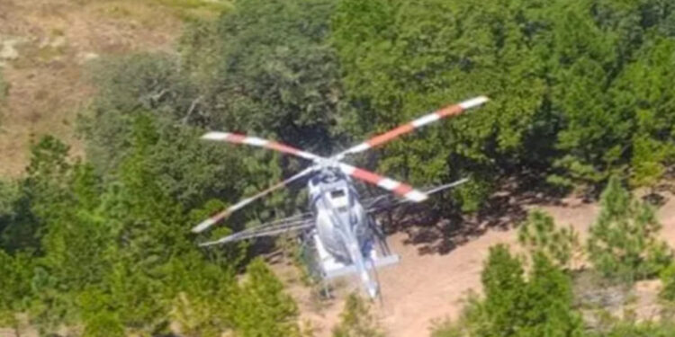 Ejército destruye 203 plantíos de amapola y mariguana en seis estados