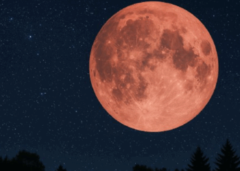 Es oficial: Este es el día y horario en que se podrá ver la Luna de Fresa en su punto de mayor visibilidad en México