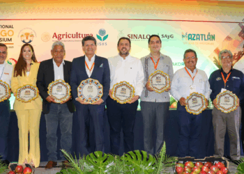 México ocupa el quinto lugar como productor de mango a nivel mundial: Ismael Bello Esquivel